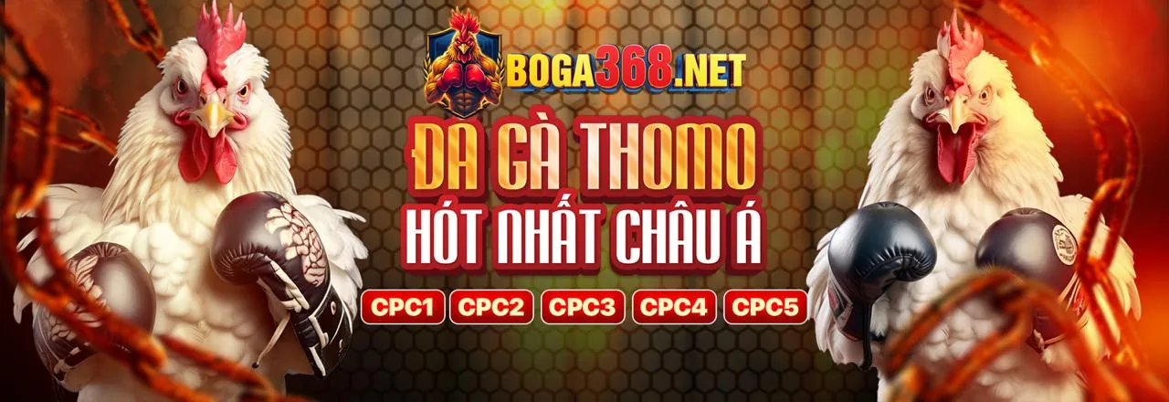 Đá gà trực tuyến kịch tính tại 789cub app